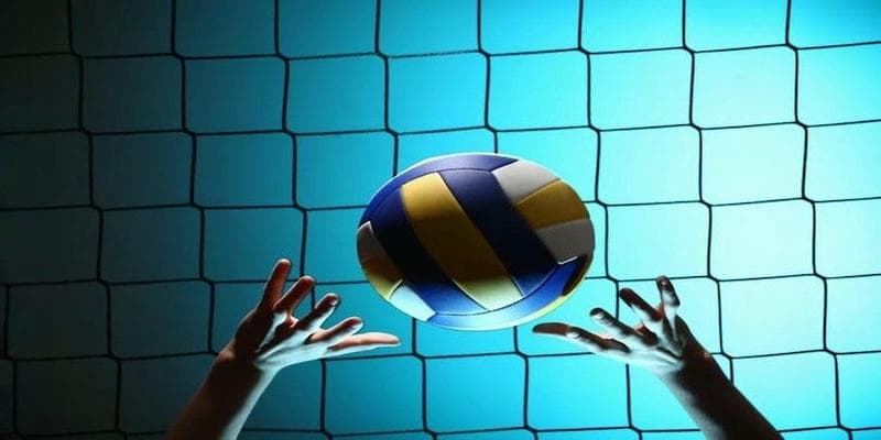 Vì Sao Nên Chọn Cá Cược Bóng Chuyền Tại VinBet?