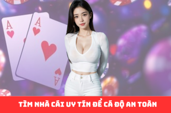 Đánh Giá Nhà Cái Uy Tín: Hành Trang Chinh Phục Cá Độ Thể Thao