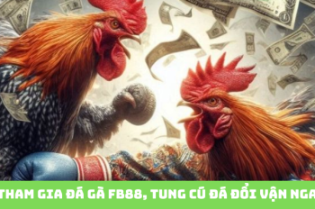 Khám Phá Đá Gà FB88: Bí Quyết Thắng Lớn Cho Tân Thủ