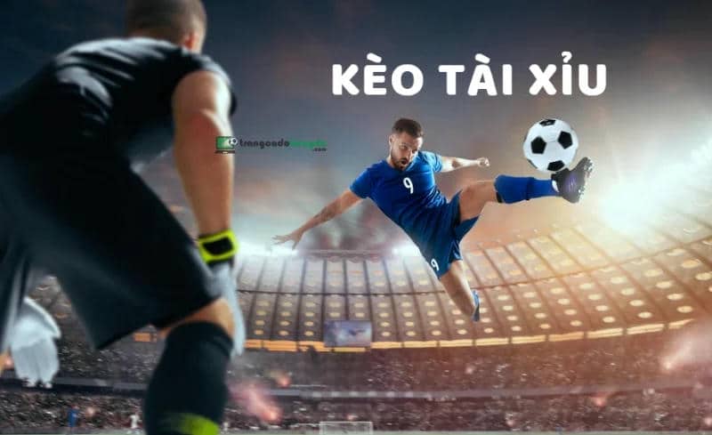 Đội Hình Ra Sân: Yếu Tố Quyết Định Kèo Tài Xỉu