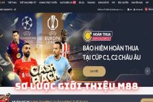 Giới thiệu thông tin về chúng tôi cổng game M88 uy tín