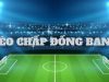 Tỷ Lệ Cá Cược Bóng Đá Kèo Chấp Cần Biết Khi Đặt Cược