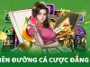 Giới thiệu FC88 – Trải nghiệm cá cược an toàn, nạp rút siêu tốc