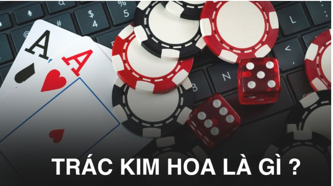 Trác Kim Hoa là gì?