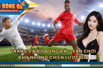 Trang Cá Độ Bóng Đá – Sân Chơi Cho Những Chiến Lược Gia