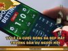 Tỷ Lệ Cá Cược Bóng Đá Đẹp Mắt Thường Dẫn Dụ Người Mới