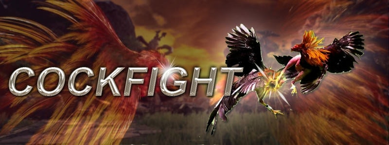  Soi gà chuẩn xác để thắng kèo tại nhà cái Viva88