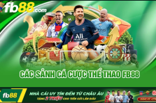 Thể Thao FB88 – Sảnh Cá Cược Uy Tín và Đẳng Cấp Hàng Đầu 2025