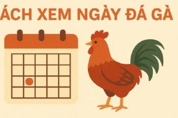 Xem Ngày Gà Đá Theo Âm Lịch – Bí Quyết Chọn Ngày Đẹp Để Gà Thắng Lớn