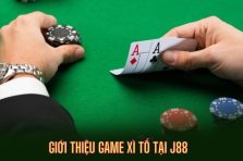 Xì Tố Tại viet69 – Đặt Cược Dễ Dàng, Chiến Thắng Huy Hoàng