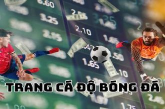Trang cá độ bóng đá – Lựa chọn thông minh của dân cược