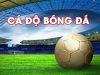 Tìm hiểu cá độ bóng đá và các loại kèo người chơi nên biết