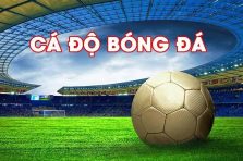 Tìm hiểu cá độ bóng đá và các loại kèo người chơi nên biết