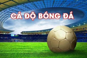 Tìm hiểu cá độ bóng đá và các loại kèo người chơi nên biết