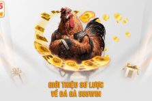Cách Chơi Đá Gà 555win: Hướng Dẫn Chi Tiết Từ A Đến Z