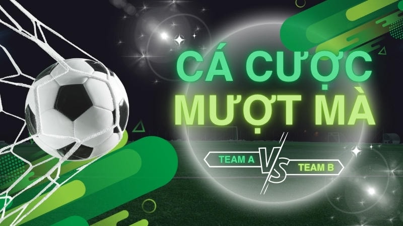 Mẹo săn kèo sớm giúp tối ưu quyết định cá độ.