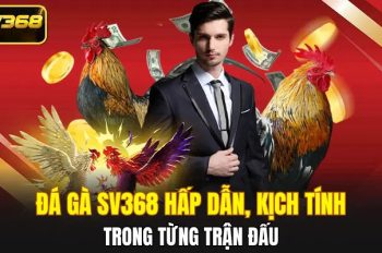 Đá gà SV368 – Sân chơi uy tín cho người đam mê đá gà
