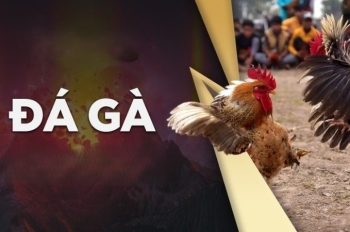 Đá gà Twin68 – Trải nghiệm giải trí đỉnh cao với dịch vụ chuyên nghiệp