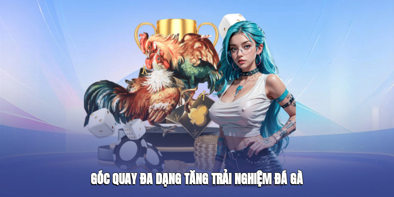 goc quay da dang tang trai nghiem da ga 3