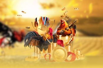 Đá gà Hello88 – Bí quyết tăng thu nhập cực nhanh cho người chơi mới!