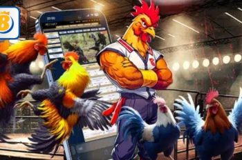 Đá gà BK8 – Khám phá nghệ thuật chiến kê, kiếm tiền tỷ mỗi ngày