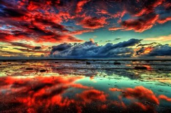 Ảnh Màu – Bí Quyết Chụp Hình Rực Rỡ Và Đầy Sức Sống