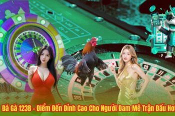 Cùng đá gà 123b tìm hiểu về truyền thống và chiến thuật chơi hiệu quả