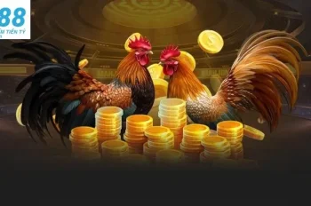 Đá gà Hi88 – Cuộc chiến kịch tính, thắng lớn từng phút