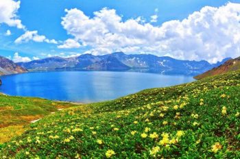 Ảnh Website – Vai Trò Và Tối Ưu Hình Ảnh Chuyên Nghiệp