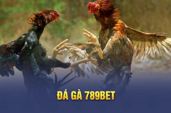 Chuyên mục đá gà 789bet – Nơi thử thách chiến kê