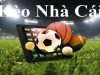 Kèo nhà cái và kinh nghiệm thực chiến từ chuyên gia giúp người chơi nâng cao tỷ lệ thắng