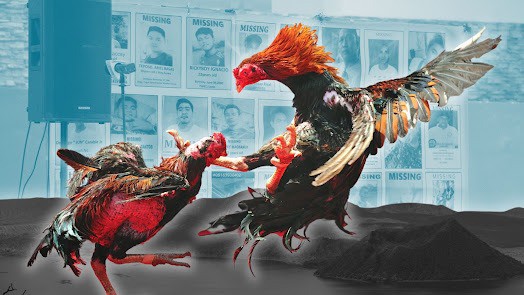 Theo dõi lịch đá gà F8bet để không bỏ lỡ trận hot