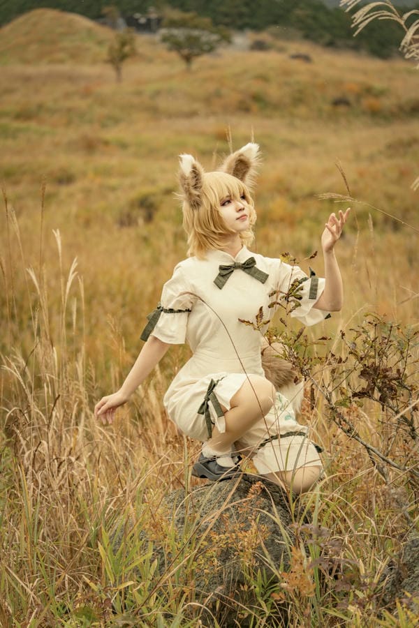 đuôi cáo cosplay 13