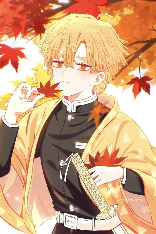 ảnh kimetsu yaiba zenitsu 9