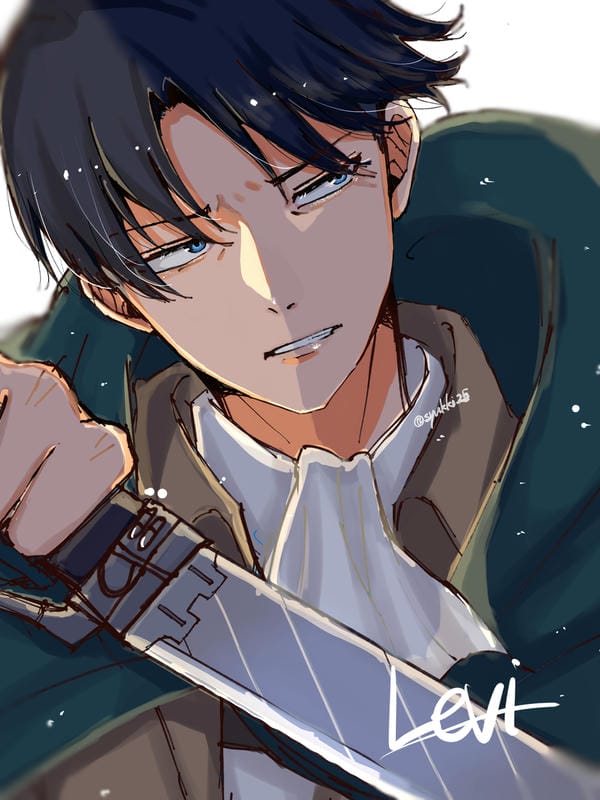 ảnh levi 20