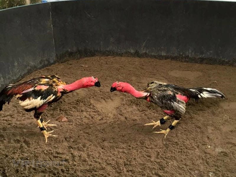 Quản lý vốn thông minh giúp bảo toàn lợi nhuận