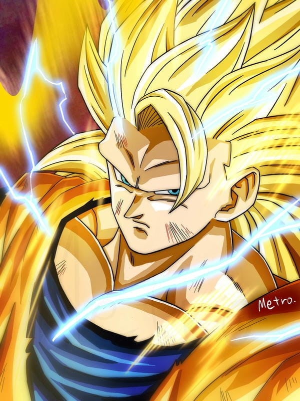 hình ảnh songoku 13