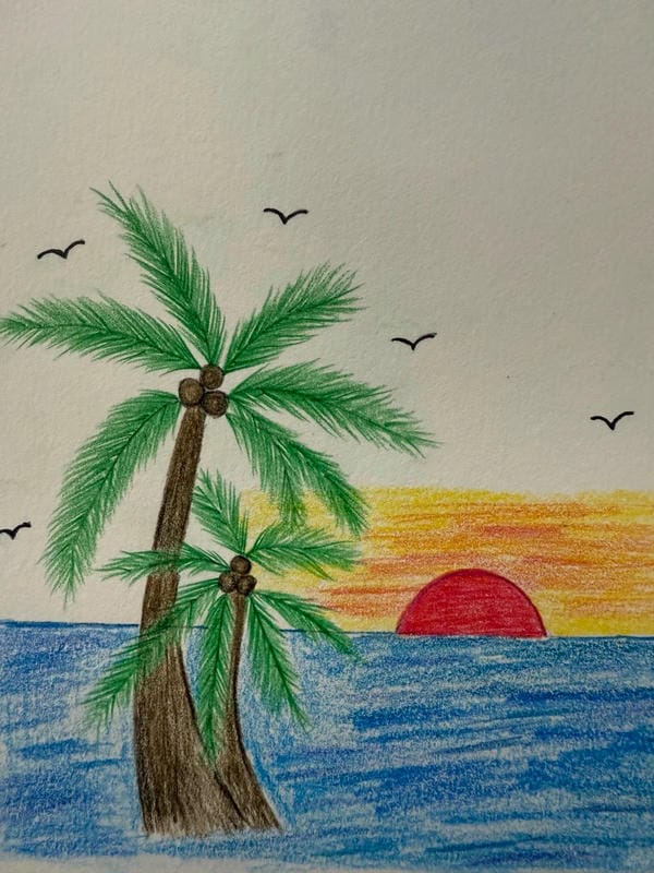 tranh vẽ cây dừa 9