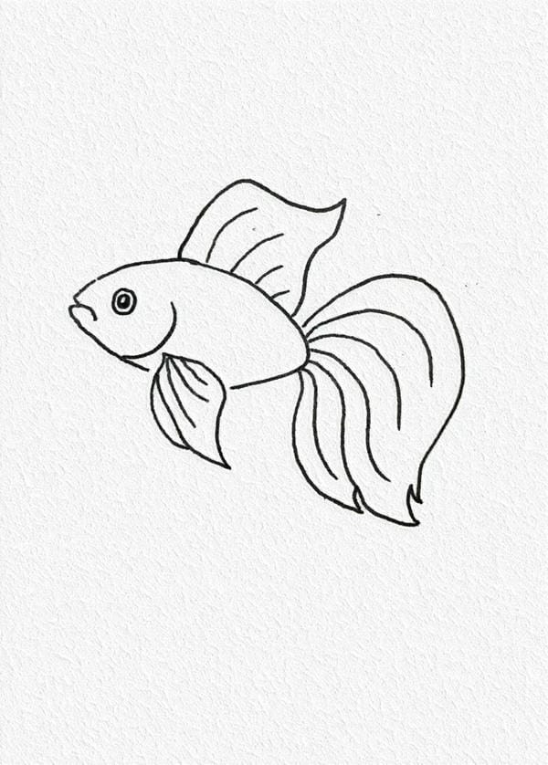 tranh vẽ con cá 13