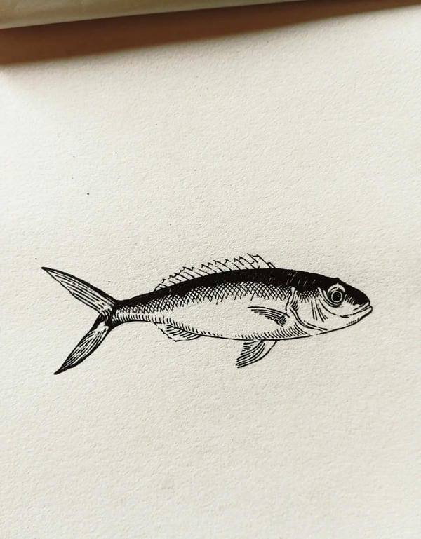 tranh vẽ con cá 14