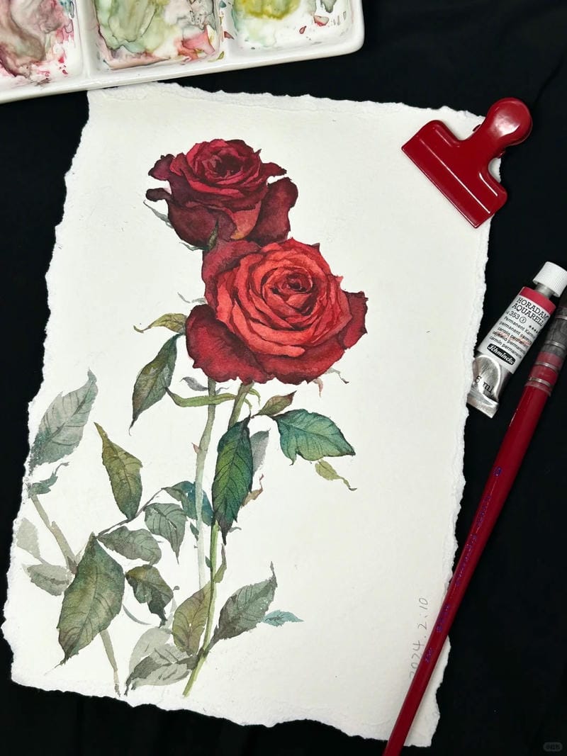 tranh vẽ hoa hồng 10