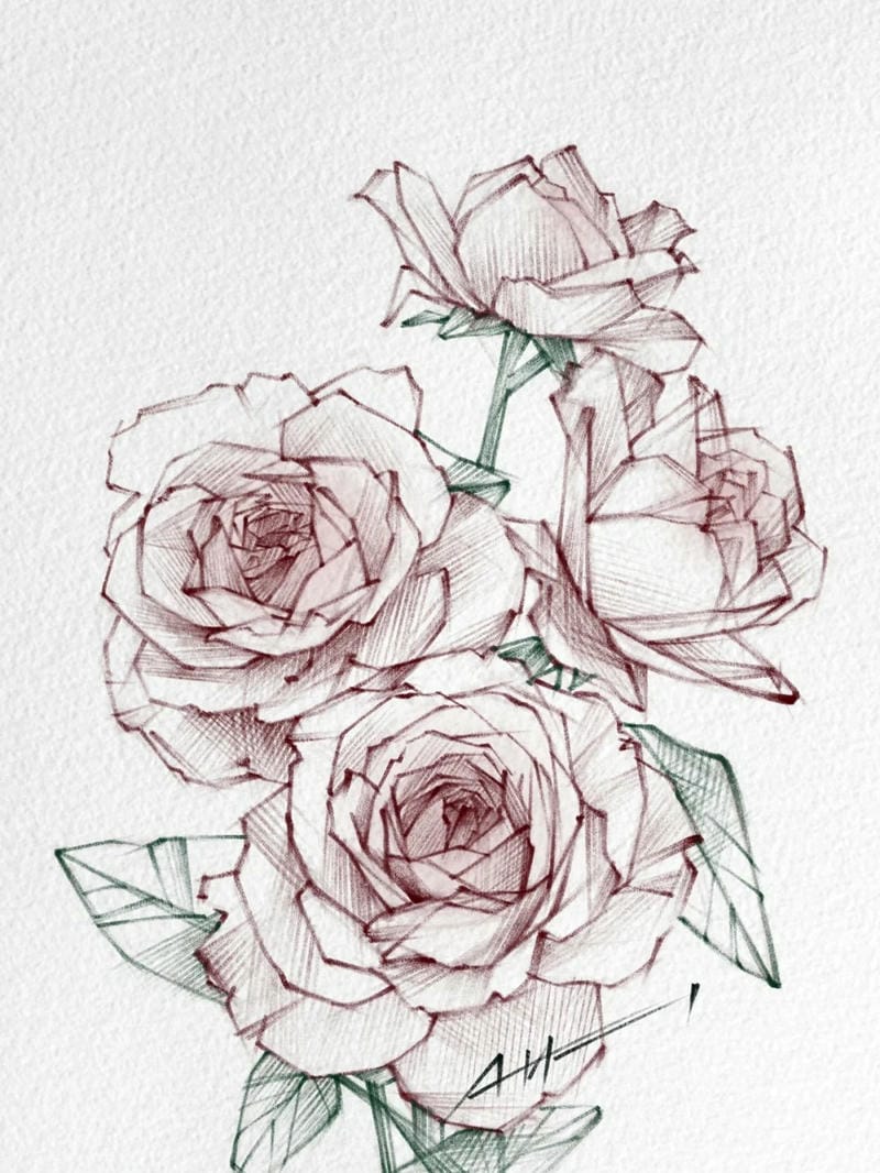 tranh vẽ hoa hồng 15