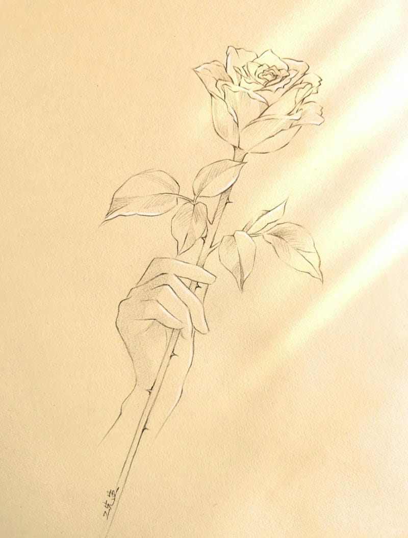 tranh vẽ hoa hồng 24