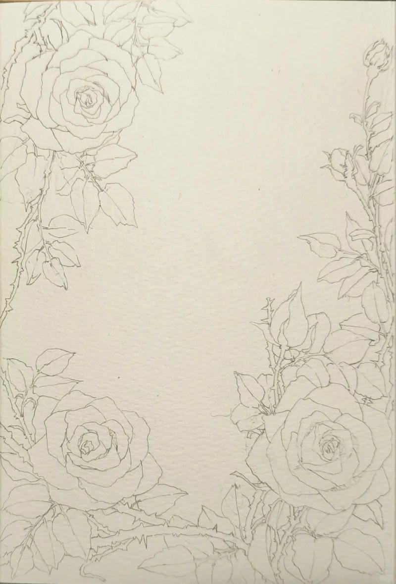 tranh vẽ hoa hồng 5