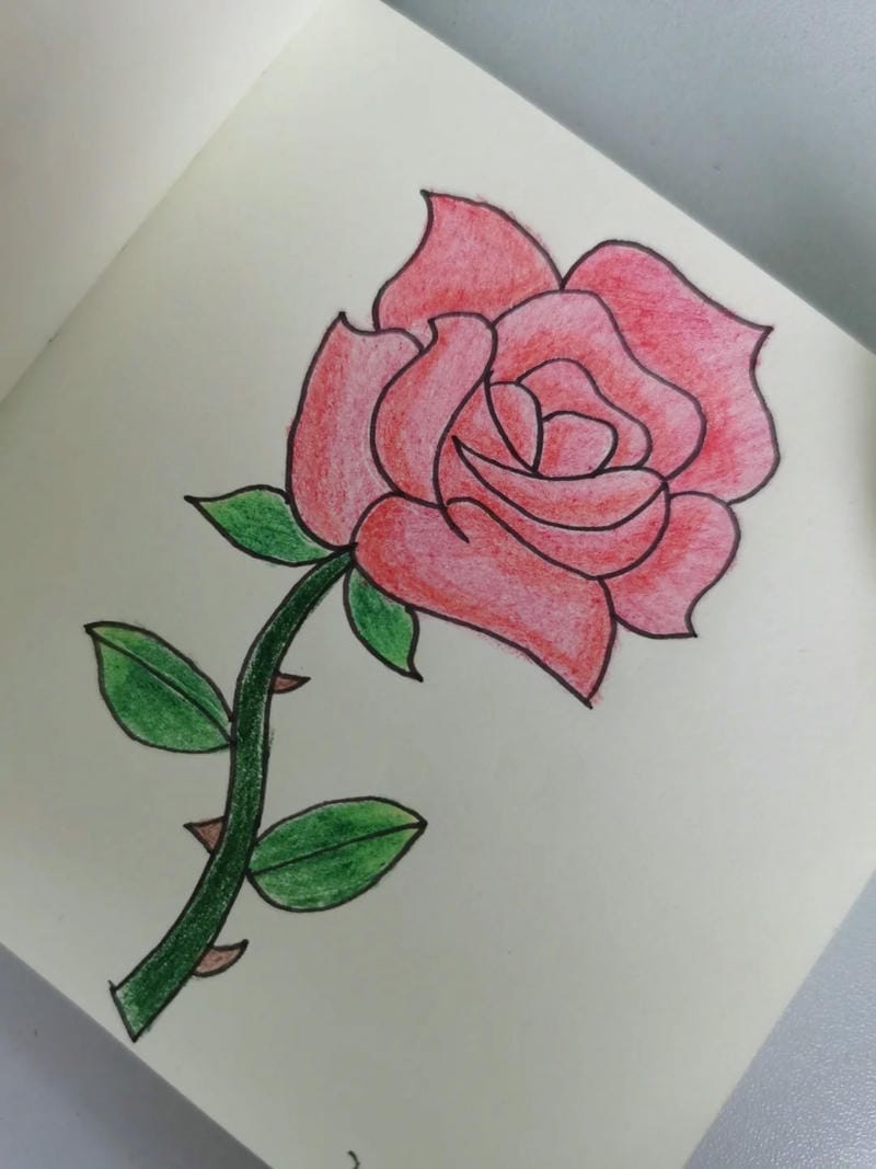 tranh vẽ hoa hồng 7