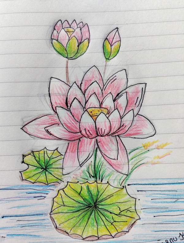 tranh vẽ hoa sen 11