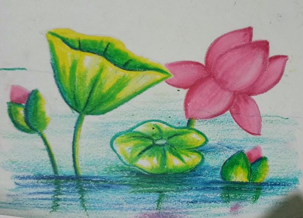 tranh vẽ hoa sen 12