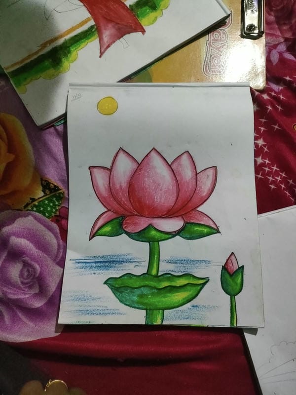 tranh vẽ hoa sen 16