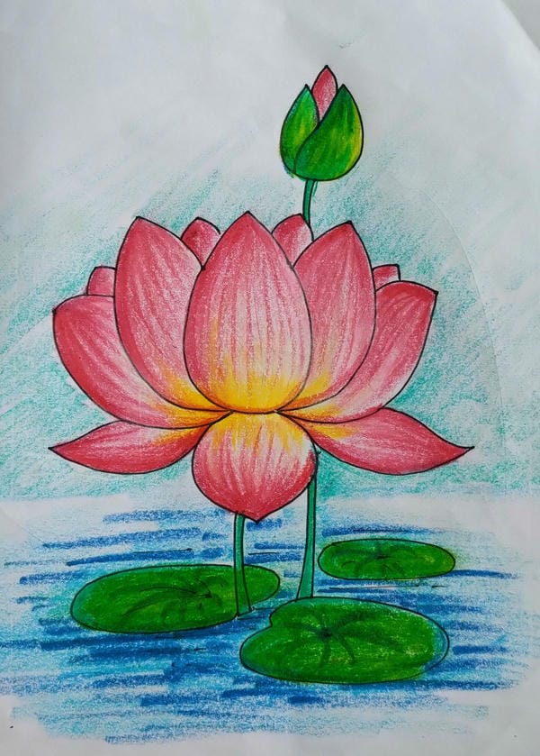 tranh vẽ hoa sen 17