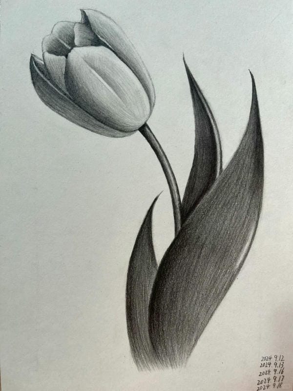 tranh vẽ hoa tulip 18